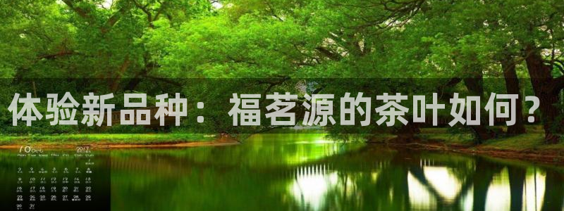 龙八国际官方网站pt