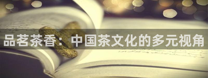 龙八国际怎么样
