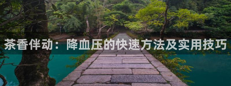 龙八国际app客户端