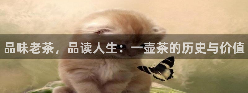 龙八国际客户端pt