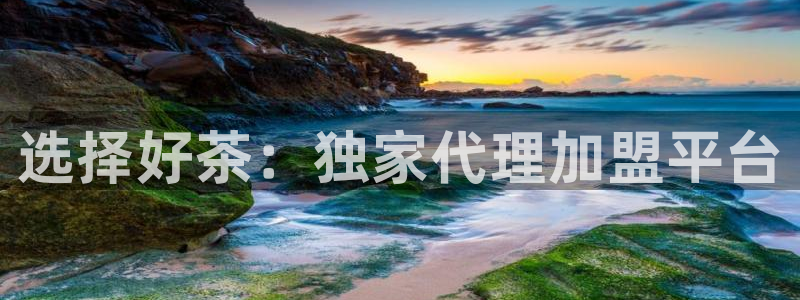 龙八国际pt老虎机官网