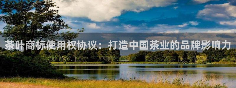 打开龙八国际
