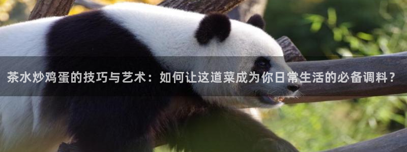 龙八国际备用地址