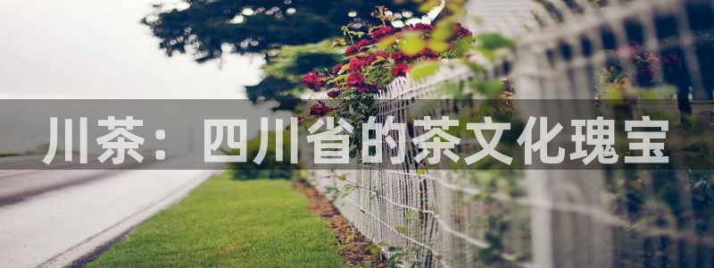 龙八国际p