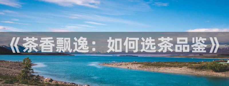 龙八国际集团