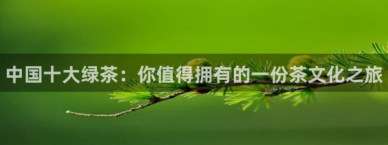 龙八国际我要登录