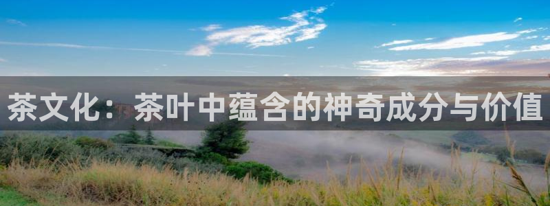 龙八国际备用地址