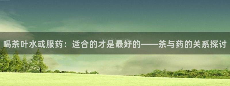 龙八国际是什么软件
