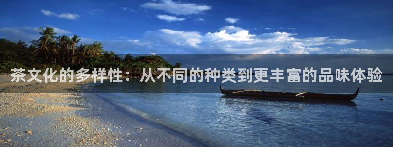 龙八国际p