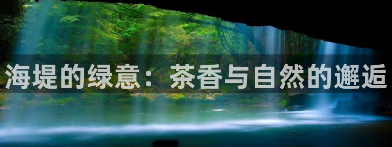 龙八国际网页long123