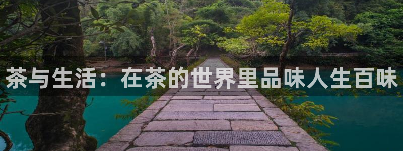 龙八国际2023