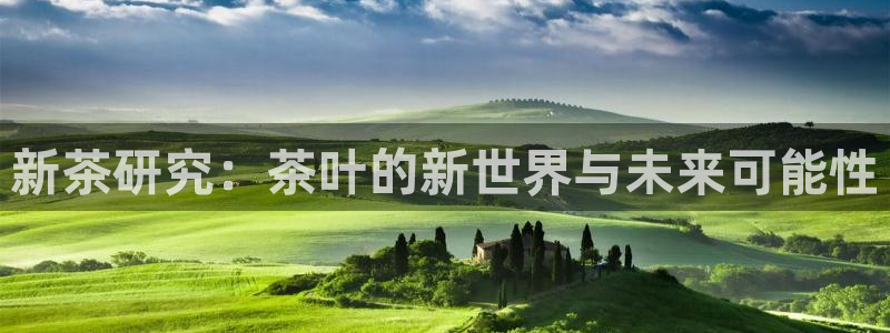 龙八国际官网首页