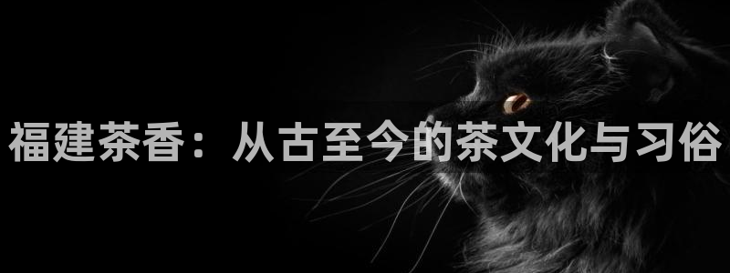 龙八国际官方网站