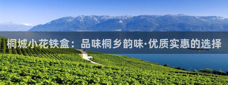 龙八国际服