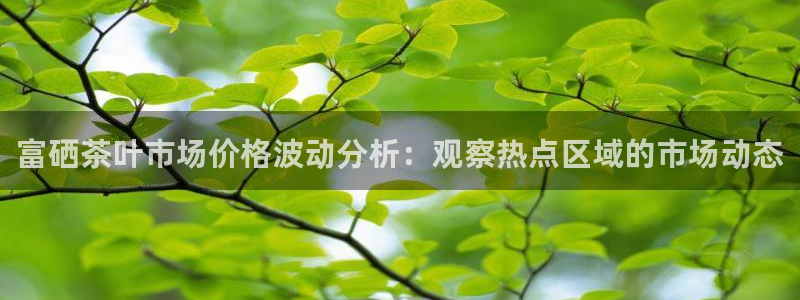 手机版龙八国际