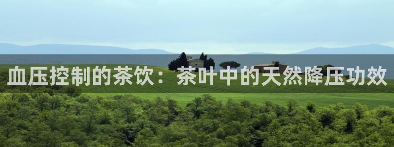 龙八国际网b48点tv