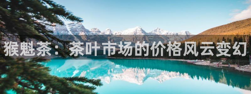 龙八国际pt客户端下载