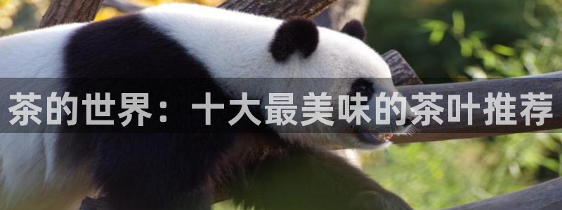 龙八国际娱乐官方网站