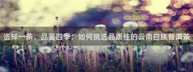 龙八国际娱乐手机版