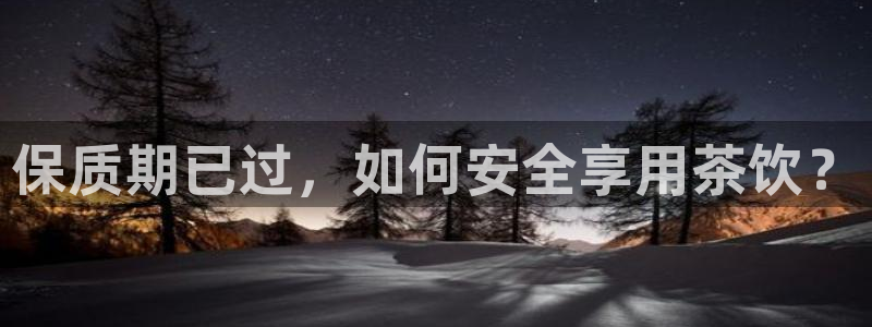 龙八国际代理app