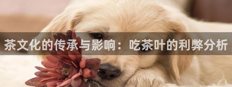 龙八国际登入