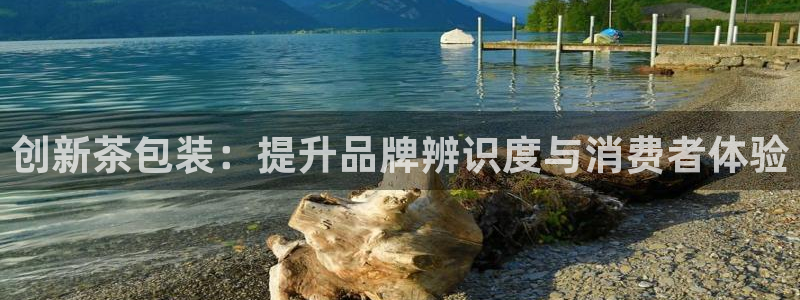 龙八国际手机客户端下载
