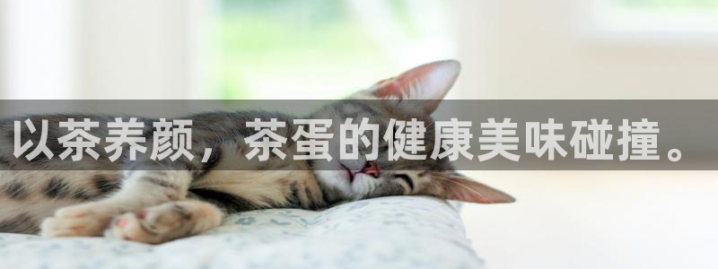 龙八国际app电话号码