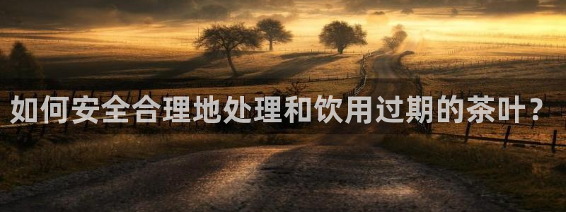 龙八国际跑路了吗