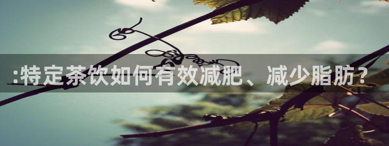 龙八国际app手机版下载安卓
