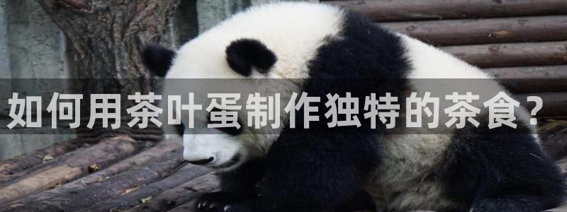 龙八国际pt游戏下载