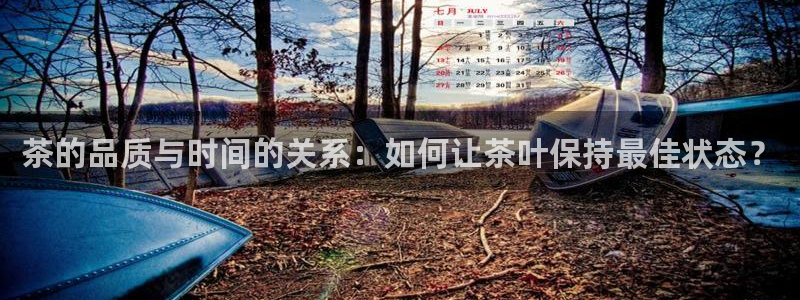 龙八国际苹果下载地址