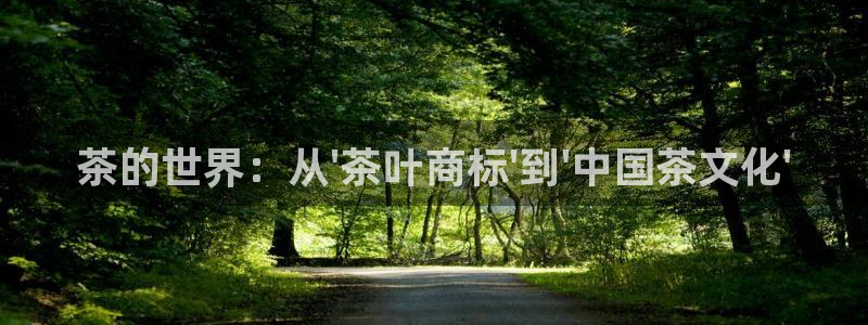 下载龙八国际官网