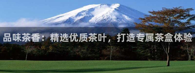 龙八国际下载链接手机端