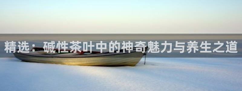 龙八国际官网产品介绍