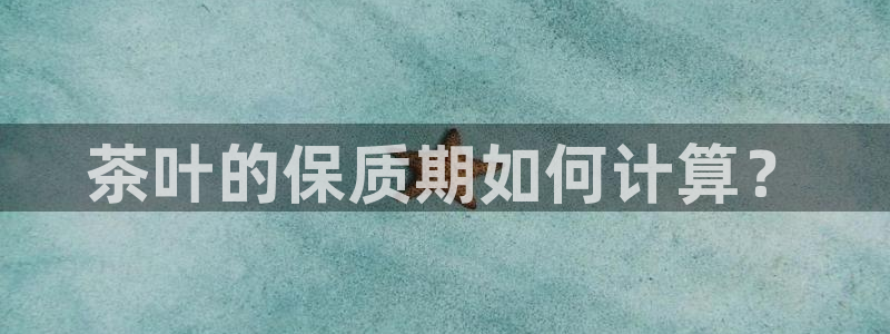 龙八国际网
