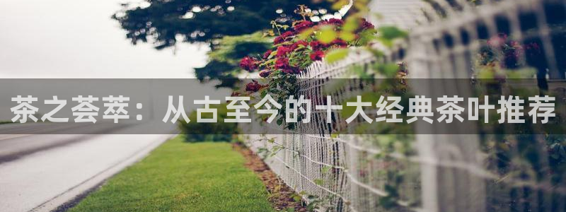 龙八国际平台下载