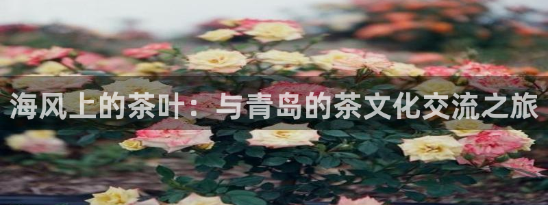 龙八国际官网