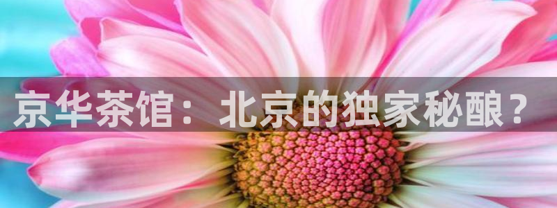 龙八国际客户端pt