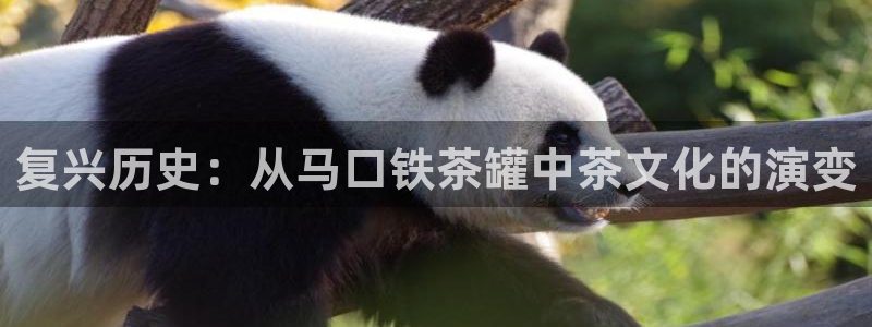 龙八国际app客户端下载手机端