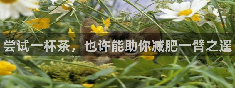 龙八国际手机版下载地址