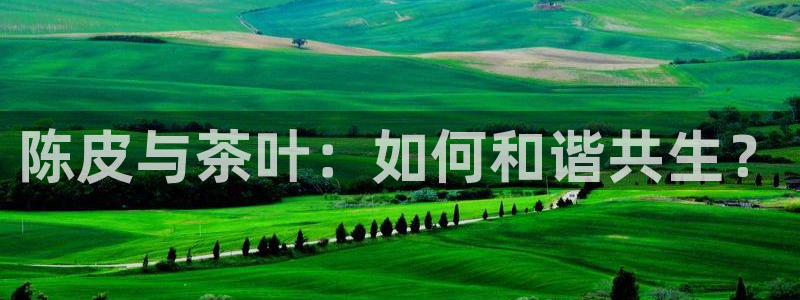 龙八国际客户端下载安卓