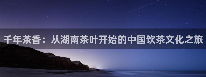 龙八国际服官方