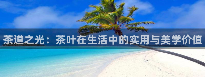 龙八国际网页