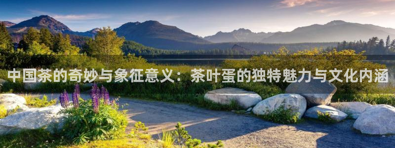 龙八国际mG