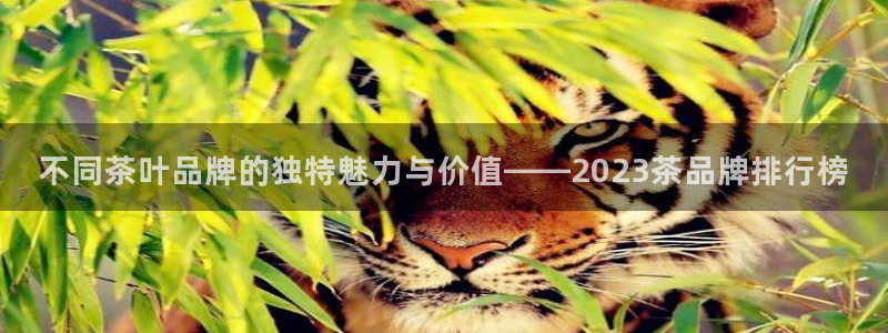 龙八国际平台首页