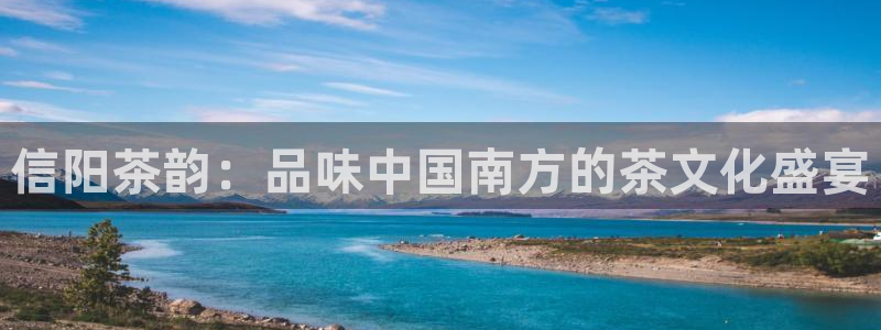 龙八国际图片
