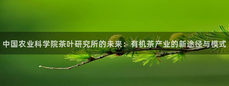 龙八国际 官网