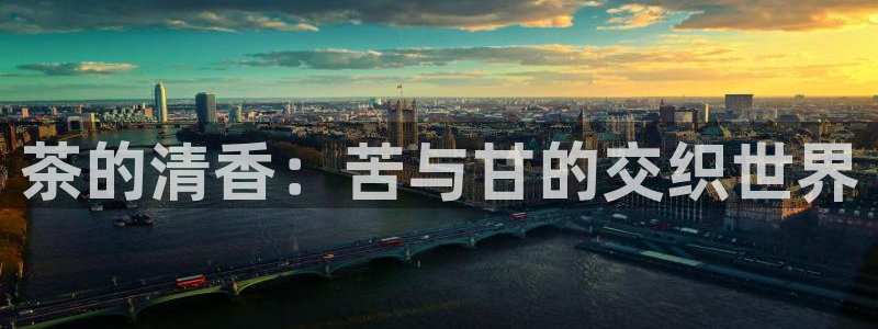 龙八国际优惠券有什么用