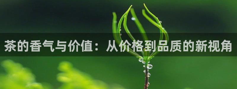 龙八国际服官网下载