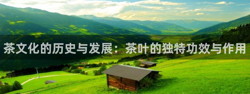 龙八国际手机版下载官网